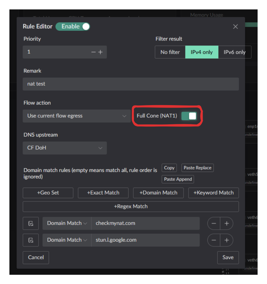 Full Cone NAT enabled in a DNS rule