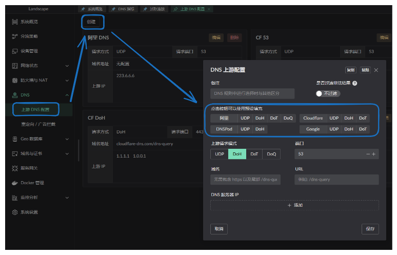 上游 DNS 配置